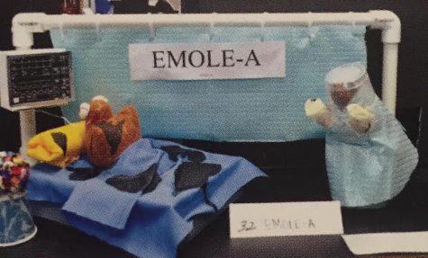 Senior, Chloe Paman, won Best Mole in Academy’s 2014 annual “Mole Day” after basing her project on the Ebola outbreaks, entitling it “Emole-a”. Photo Credit: Shannon Flaharty