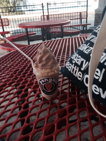 Small Peanut Butter and Chocolate Gelati