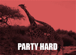 http://giphy.com