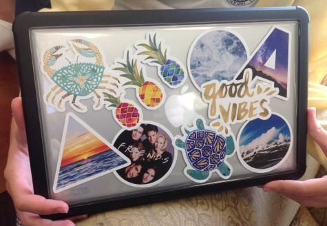 11th grader Audrey Dunn's laptop shows a theme of nature