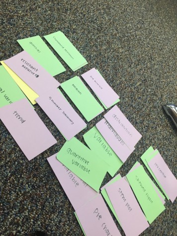 Senior Kristina Kennedy shares her flashcard and how they help her study for Spanish class. Color coordinating flashcards can help students prepare for test and quizzes. Credit: Jacqueline Brooker