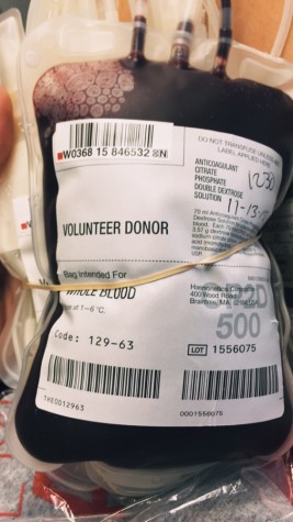 Senior, Avery Stanechewski, shows off the blood she donated!