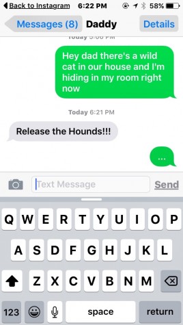 Credit: Gabby Delp "Release the Hound"
