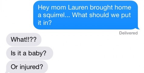 Credit: Lindsey Calka Pet Squirrel?