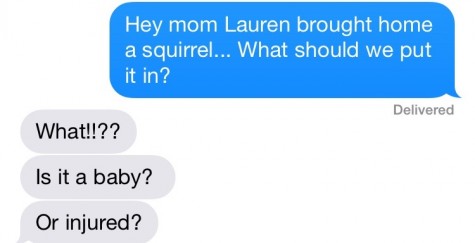 Credit: Lindsey Calka Pet Squirrel? 