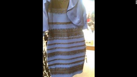 What color do you see? 