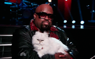 Photo credit:Giphy