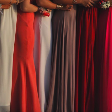 If this color scheme isn’t the most visually pleasing thing, then what is? Credit: Isabella Alfonso/AchonaOnline