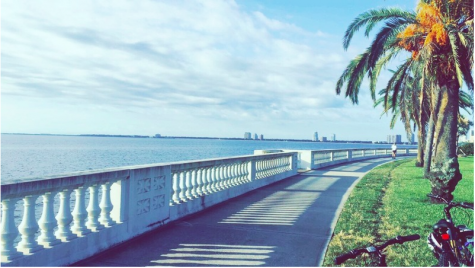 Bayshore offers a beautiful view that can be enjoyed during a bike or run. 