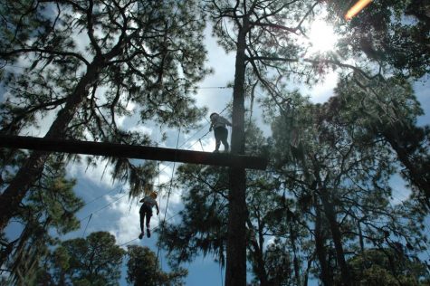 Although it was extremely daunting climbing the high of the huge trees, the girls all agreed the view (and bonds formed) were worth it. Photo Credit: Haley Palumbo (used with permission)