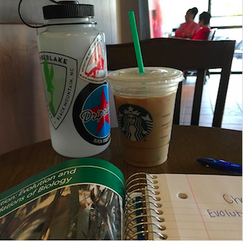 Starbucks is a great place to go to after school to do your homework and enjoy a drink. Photo Credits: Morgan Graff (used with permission)