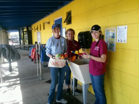 Amanda Lazzara and two friends sanitize toys for the kids at day care to play with. 