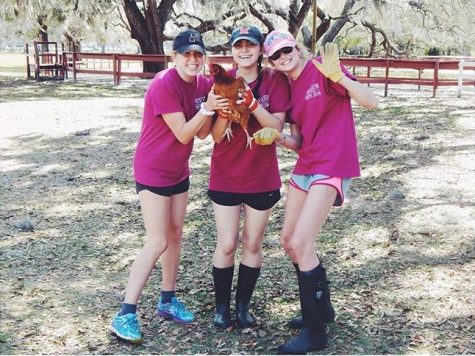 Kayla Eckermann holds a chicken with the help of two Juniors while they work in caring and refurbishing stalls and pens for the animals at Heart of Tampa. 