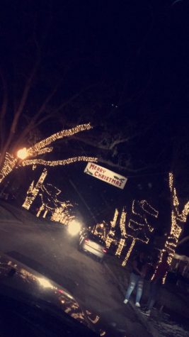 Photo Credit: Julia Prince (Achona Online) S Boulevard Street off of Bayshore Boulevard is infamous for their extravagant christmas lights.