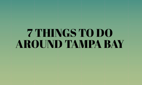 Tampa Bay is a large natural harbor and estuary connected to the Gulf of Mexico on the west central coast of Florida.