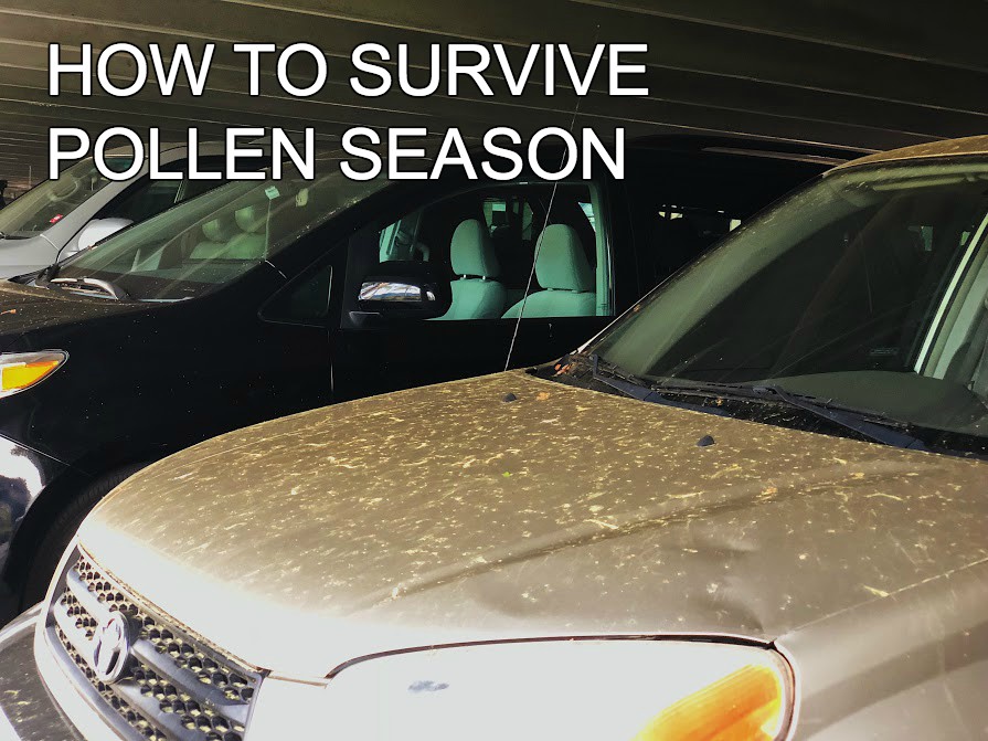 The+pollen+count+has+been+noticeably+higher+this+year+
