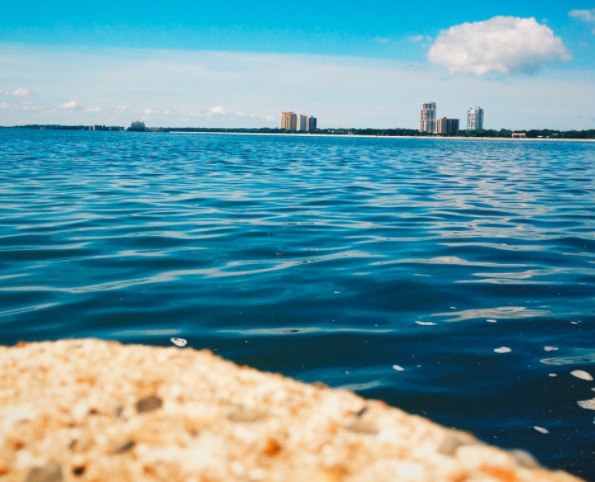 The word Tampa means