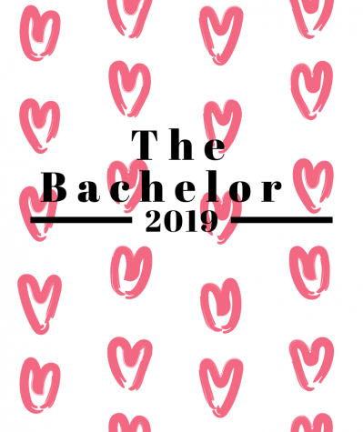 Academy’s Reactions to the New Bachelor
