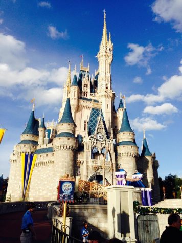 The Allure of Walt Disney World Resort